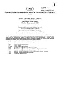 consideraci&oacute;n por el grupo de trabajo t&eacute;cnico sobre plantas