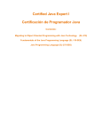 Fundamentals of the Java Programming Language (SL