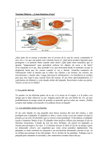 ¿Como funciona el ojo