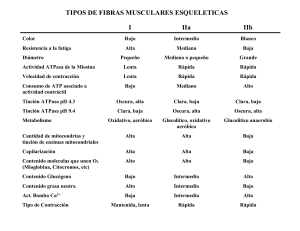 TIPOS DE FIBRAS MUSCULARES ESQUELETICAS Y UNIDADES