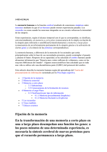 memoria - ProcesosPsicologicos-I