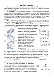 Genética molecular - IES MURIEDAS. Departamento de Biologia y