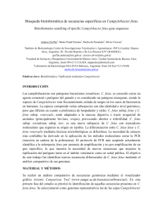 B&uacute;squeda bioinform&aacute;tica de secuencias espec&iacute;ficas en