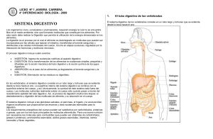 digestivo - Liceo Javiera Carrera