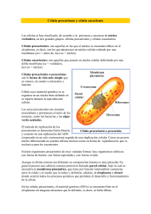 Célula procarionte y célula eucarionte