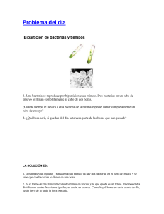 Bipartición de bacterias y tiempo