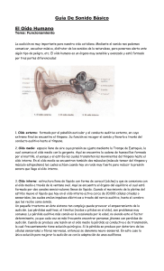 Guía De Sonido Básico El Oído Humano Tema: Funcionamiento La