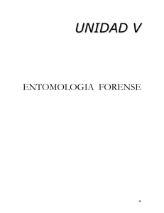 1. aspectos generales de la entomologia forense