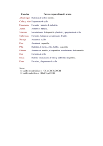 Esencias - hiciencias