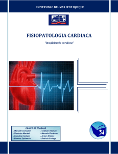 INDICE Introducción 3 Generalidades del Aparato Circulatorio 4