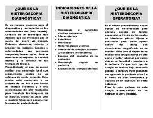 &iquest;QUE ES LA INFECCION POR VIRUS DE PAPILOMA HUMANO