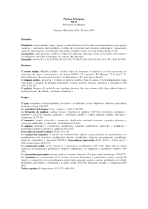 Prácticas del lenguaje