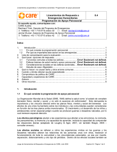 Lineamientos program&aacute;ticos / Lineamientos sectoriales