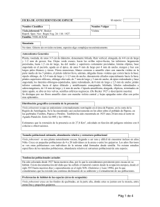 Bibliografía citada NO revisada