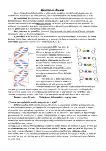 Genética molecular - IES MURIEDAS. Departamento de Biologia y