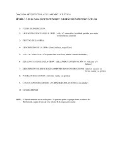 modelo o guia para confeccionar un informe de inspeccion ocular