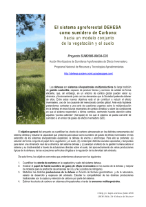 El sistema agroforestal DEHESA como sumidero de Carbono: hacia