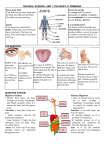 RESUMEN Unit 1. THE BODY. 3º PRIMARIA