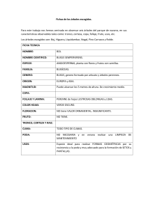 Fichas de los árboles escogidos. Para este trabajo nos hemos