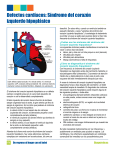 Defectos cardíacos: Síndrome del corazón izquierdo hipoplásico