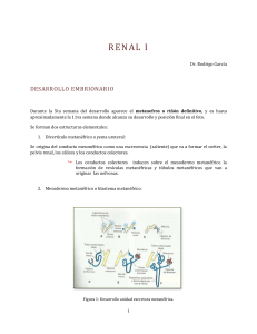 attachment_id=640 - medicina