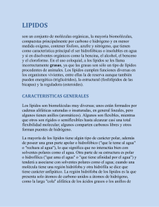 LIPIDOS. -wendy c - IHMC Public Cmaps (3)