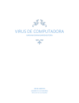 virus de computadora - Mariana Barinagarrementeria