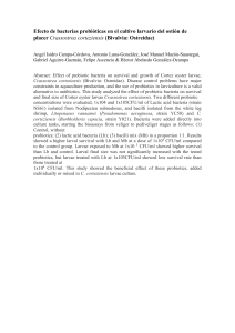 Efecto de bacterias probi&oacute;ticas en el cultivo larvario del osti&oacute;n de