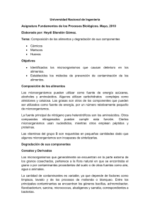 Documentos Fundamentos - Universidad Nacional de Ingenier&iacute;a