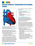 Defectos cardíacos: Transposición de las grandes arterias AO, aorta
