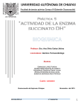 Practica-5-Actividad-de-la-enzima-succinato-DH
