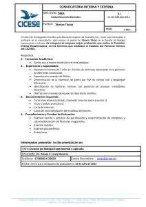 convocatoria interna y externa