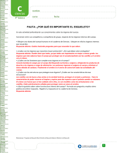 ¿Por qué es importante el esqueleto?