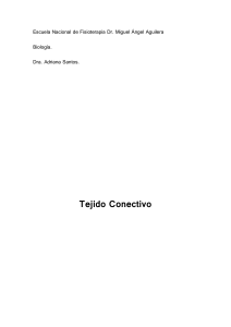 Tejido Co.. - WordPress.com