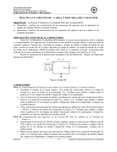 Prof. Luis Felipe Rojas