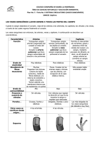 COLEGIO COMPAÑÍA DE MARÍA LA ENSEÑANZA ÁREA DE
