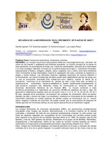 Influencia de la micorrización en el crecimiento de plantas de