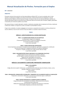 Manual Actualización de Pinches