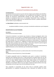 El movimiento de las plantas