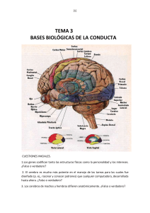 tema-3-cerebro