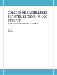 COLEGIO DE BACHILLERES PLANTEL 13 *XOCHIMILCO TPEPAN*