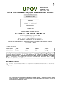 8.3 Tipos de lechuga