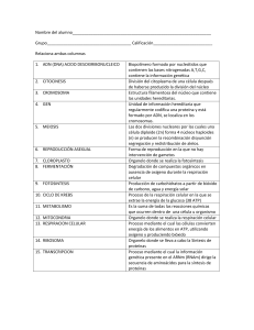 examen 2 - Páginas Personales UNAM