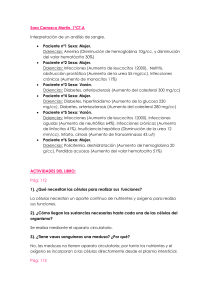 Sara Carrasco Martín. 1ºCT.A Interpretación de un análisis de