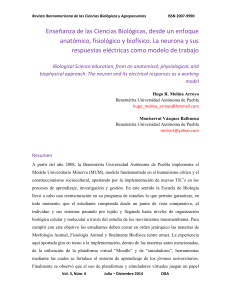 Word - CIBA Revista Iberoamericana de las Ciencias Biológicas y