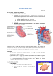Patología Cardiaca I - medicina