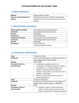 Currículum Vitae - Ayuntamiento de Mérida