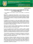 Fomentan uso de sensores para fertilización de trigo en el