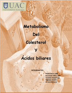 Metabolismo del Colesterol y Ácidos Biliares 200 Vespertino