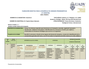 PLANEACI&Oacute;N DID&Aacute;CTICA PARA EL DESARROLLO DE